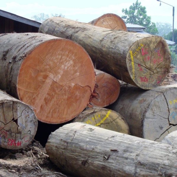 ASIAN TIMBER - ITM Timber Merchants